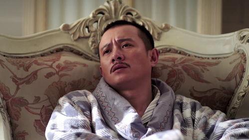 少帅40集在线观看,风云变幻，英雄末路